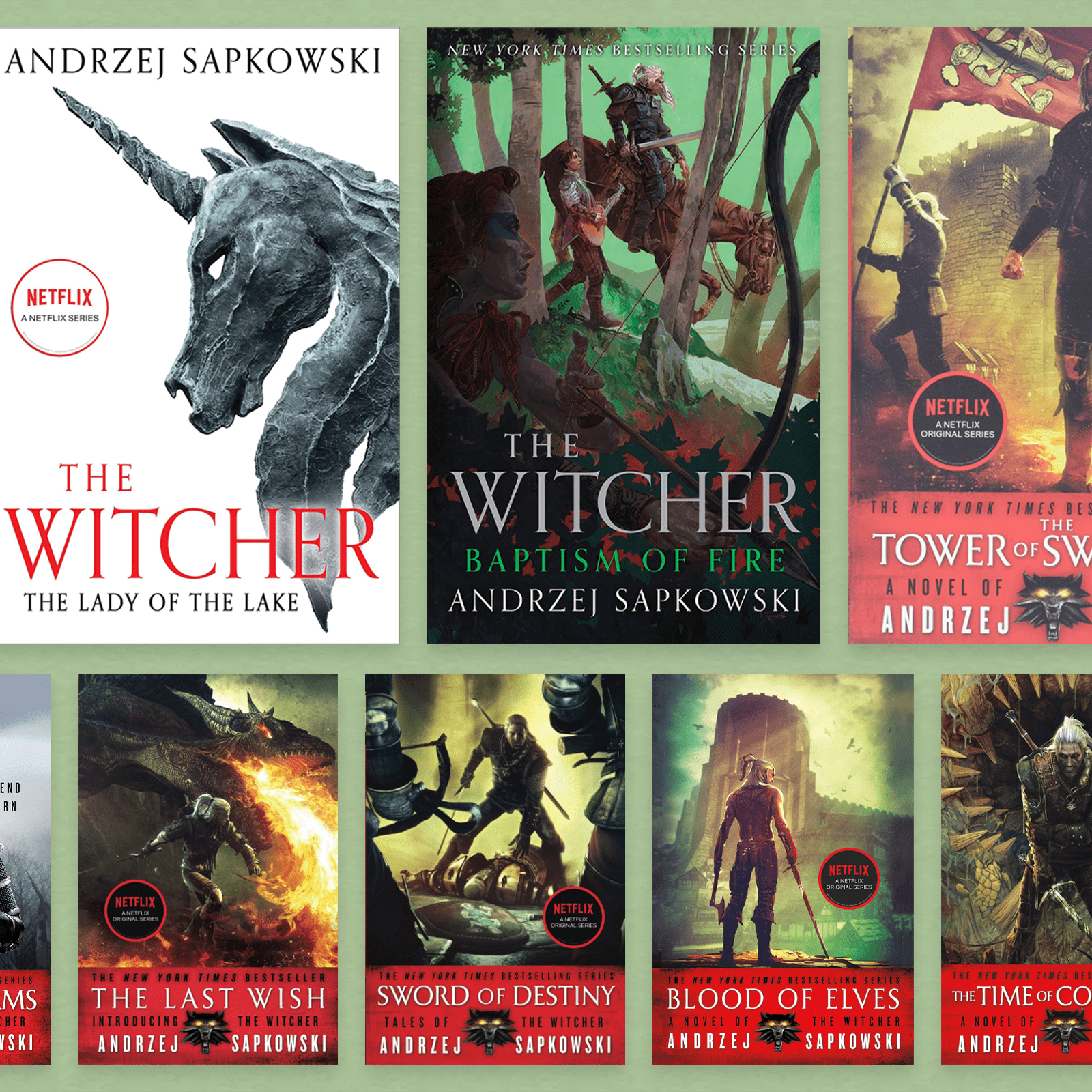 The Witcher Books in Order